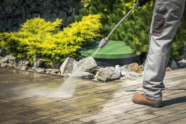 Best Gutter Cleaning  in Terrell Hills, TX