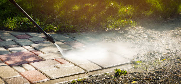 Best Building Exterior Washing  in Terrell Hills, TX